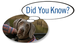 Did you know that even if your property is taxed at less than market value, you could still be eligible for a property tax cut based on an inequitable assessment. 